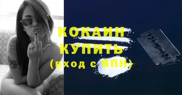 дживик Абинск