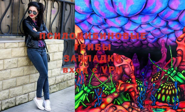 Альфа ПВП Абаза