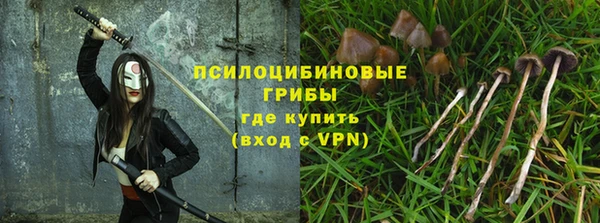 Альфа ПВП Абаза