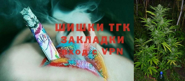 дживик Абинск