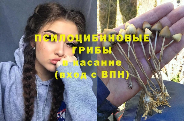 дживик Абинск