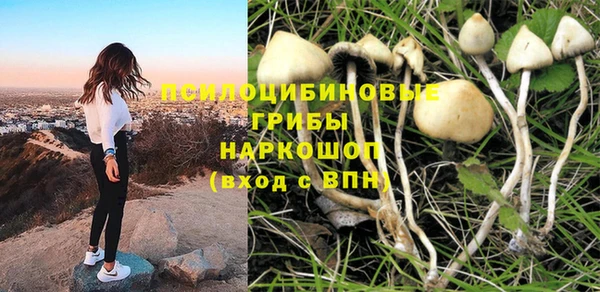 Альфа ПВП Абаза